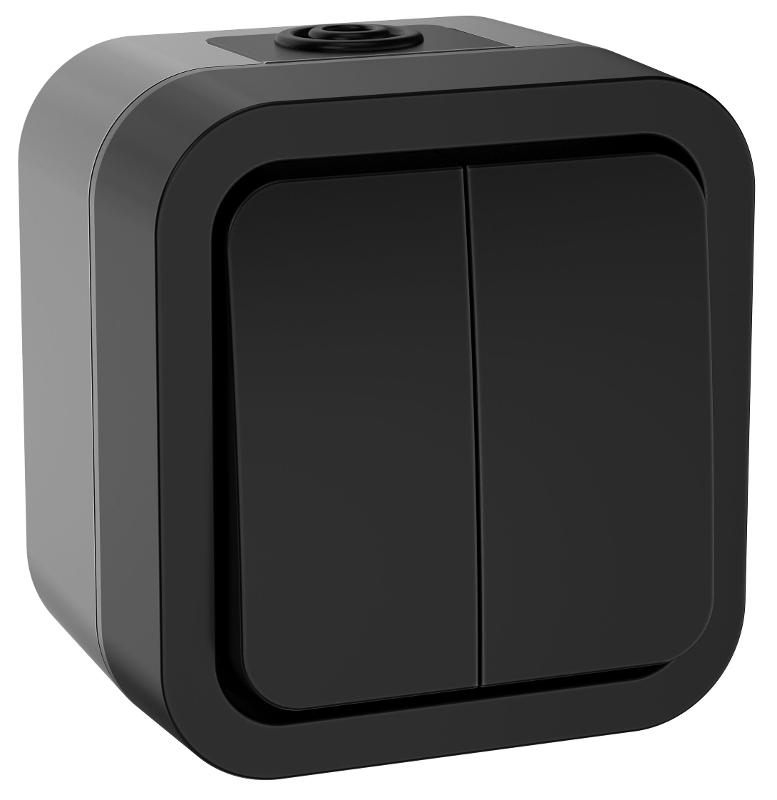 TORS Выключатель двухклавишный 10А IP55 TS105 графит