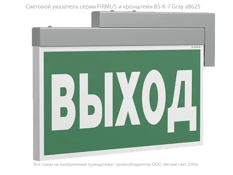 Световой указатель аварийного освещения BS-FIRMUS-10-S1-ELON Gray