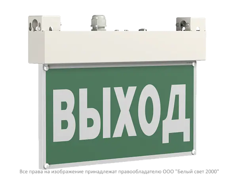 Световой указатель аварийного освещения BS-VIALANT-51-S1-INEXI3-MSS3