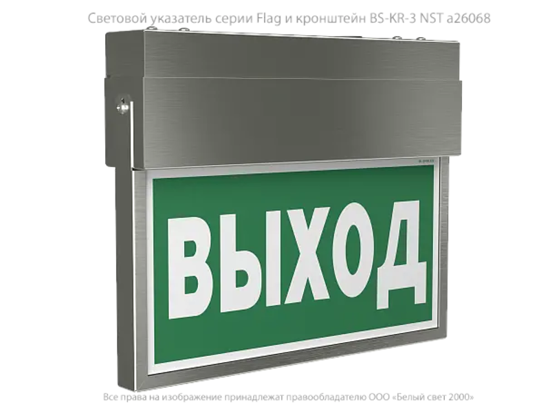 Световой указатель BS-FLAG-10-S1-24 NST