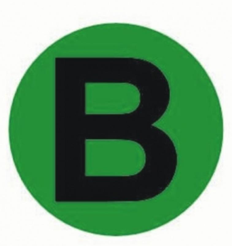 Наклейка "B" d=20мм PROxima