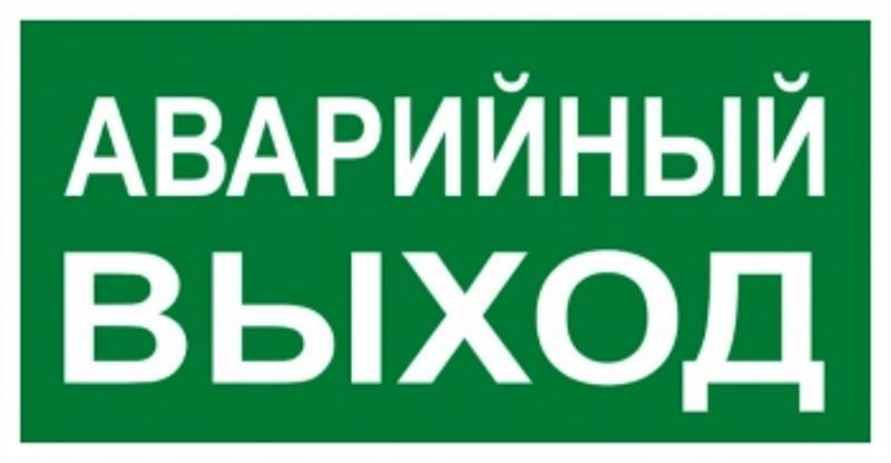 Знак "АВАРИЙНЫЙ ВЫХОД" 150х300мм PROxima