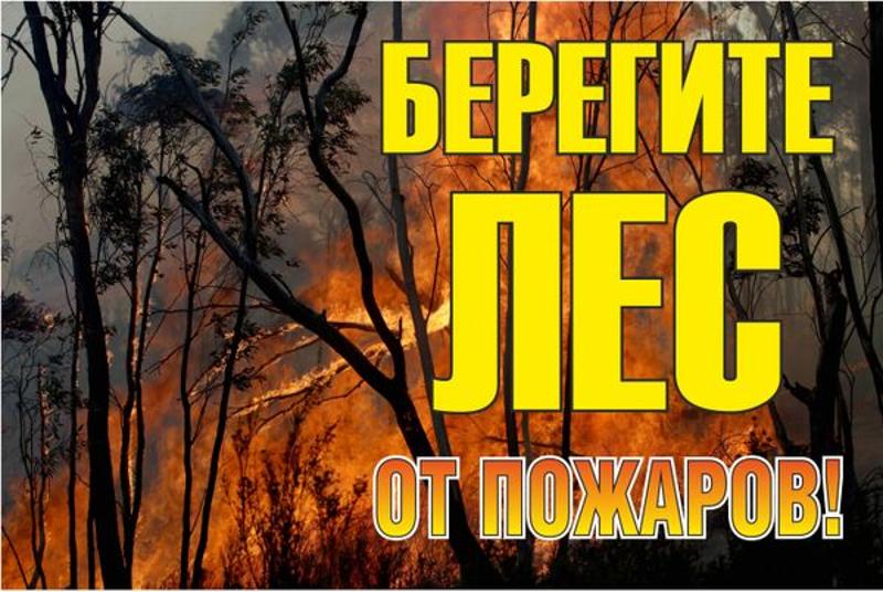 Знак "Берегите лес от огня!" 1200х800 мм