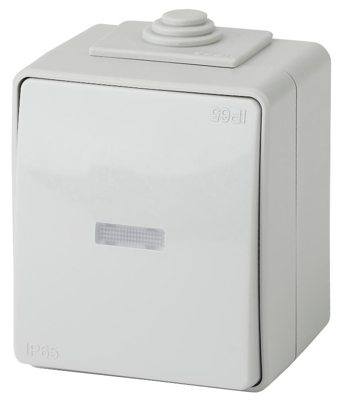 Выключатель с подсветкой IP65, 10АХ-250В, 11-1602-03, ОУ, Эра Эксперт, Серый