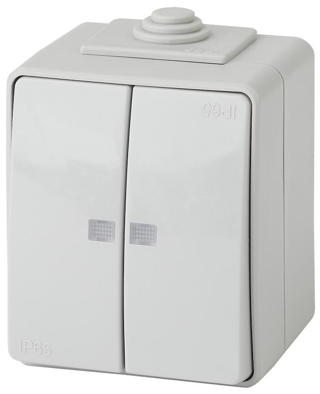 Выключатель 2-клавишный с подсветкой IP65, 10АХ-250В, ОУ, 11-1605-03 Эра Эксперт, Серый