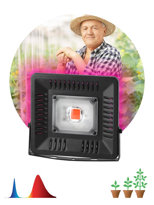 Прожектор светодиодный фито для растений красно-синий спектр FITO-50W-LED BLUERED