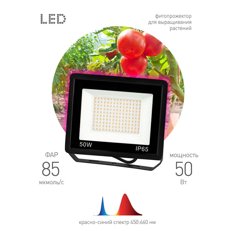 Прожектор светодиодный фито для растений красно-синий спектр FITO-50W-RB-LED