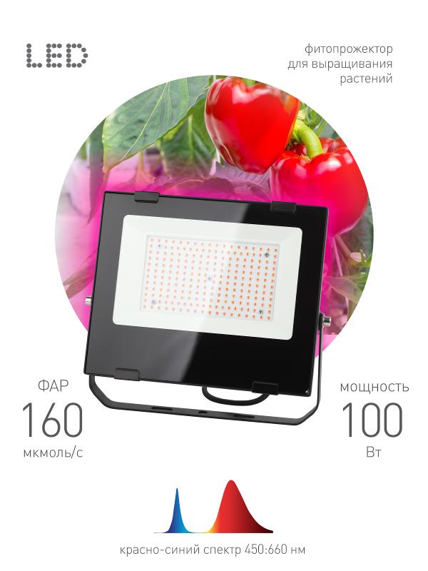 Прожектор светодиодный фито для растений красно-синий спектр FITO-100W-RB-LED