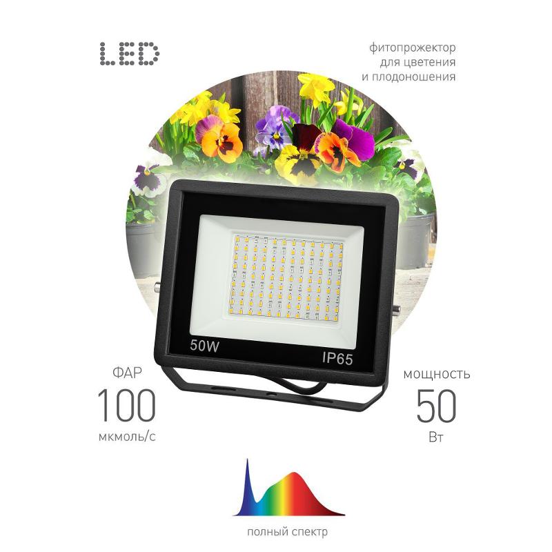 Прожектор светодиодный фито для растений FITO-50W-Ra90-LED для цветения и плодоношения (10/300)