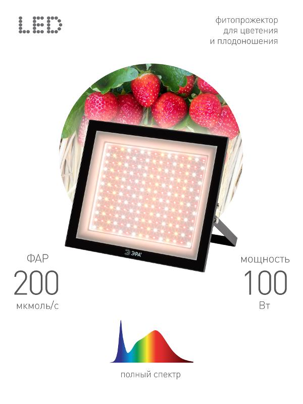 Прожектор светодиодный фито для растений FITO-100W-Ra90-LED для цветения и плодоношения (10/200)
