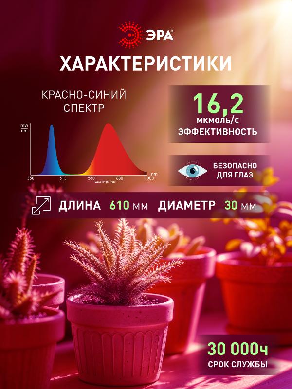 Лампа светодиодная RED LINE LED P45-8W-827-E14 R Е14 / E14 8 Вт шар теплый белый свет