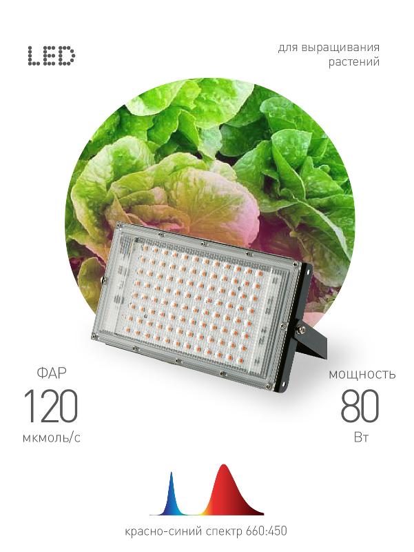 Фитопрожектор для растений светодиодный 80Вт FITO-80W-RB-LED-Y красно-синего спектра