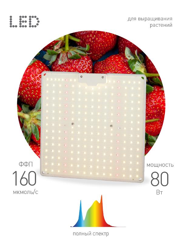 Фитопрожектор для растений светодиодный 80Вт FITO-80W-LED-QB Quantum board