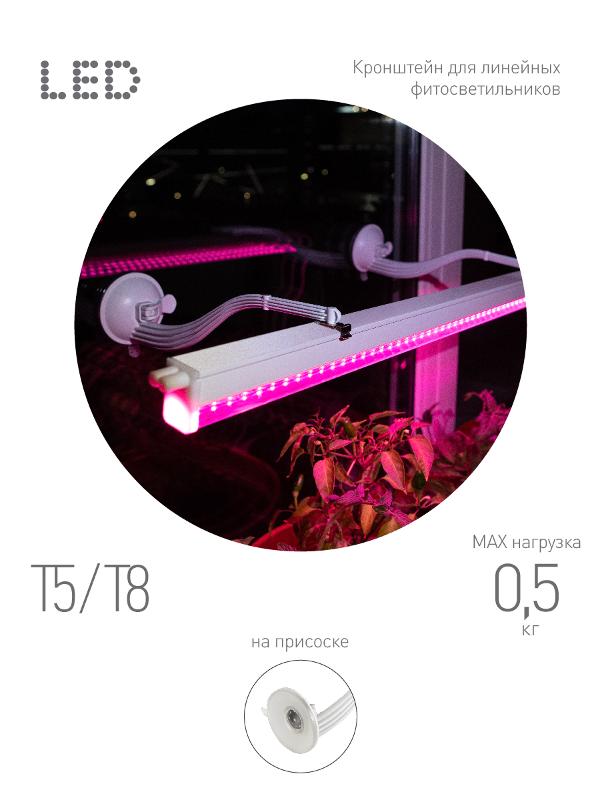 Кронштейн для фитоламп и фитосветильников FITO-Hanger на присоске