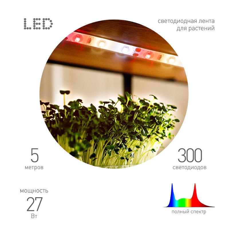 Светодиодная лента для растений  FITO-Strip Light-Rа90-300LED-5m-12V-IP65 полного спектра 5м IP65 с адаптером 12В