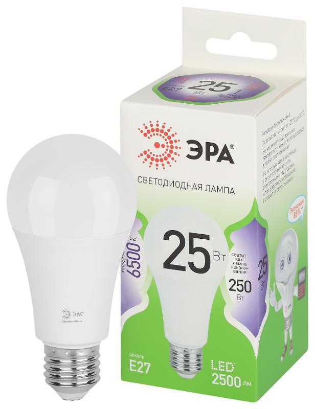 Лампа светодиодная  GREEN LINE LED A60-25W-865-E27 GL E27 25 Вт груша холодный свет