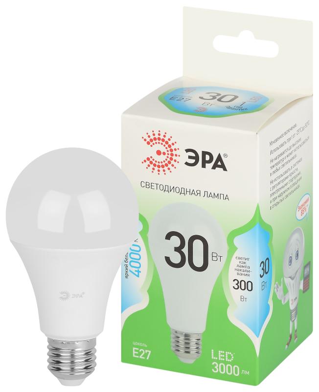 Лампа светодиодная  GREEN LINE LED A65-30W-840-E27 GL E27 30 Вт груша яркий белый свет