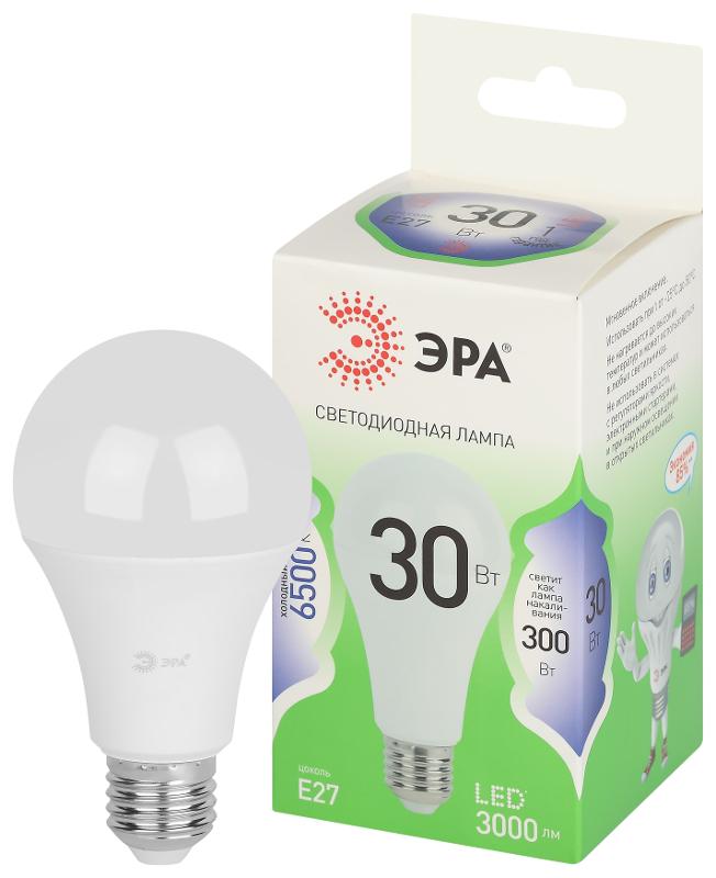 Лампа светодиодная  GREEN LINE LED A65-30W-865-E27 GL E27 30 Вт груша холодный свет